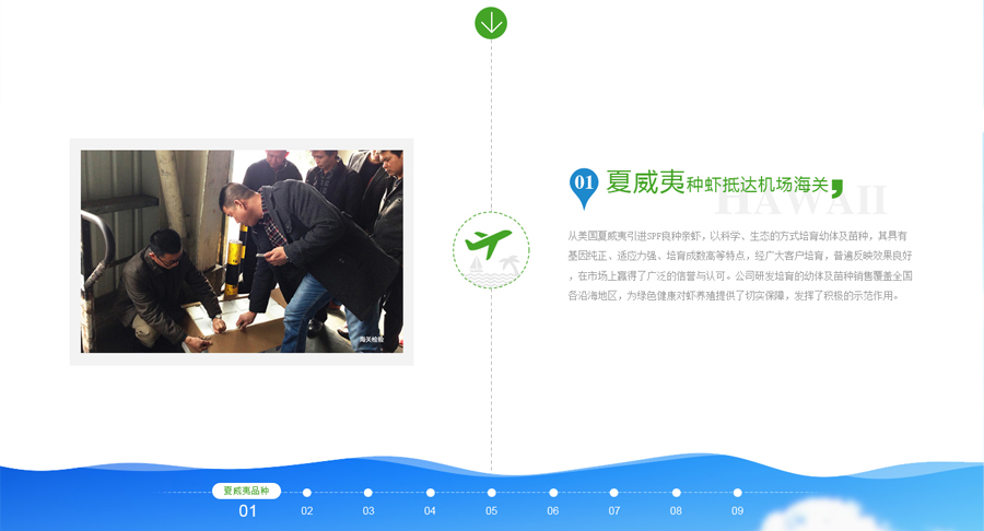 网站建设设计