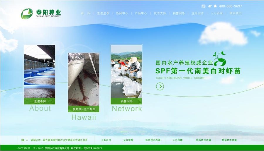 网站建设
