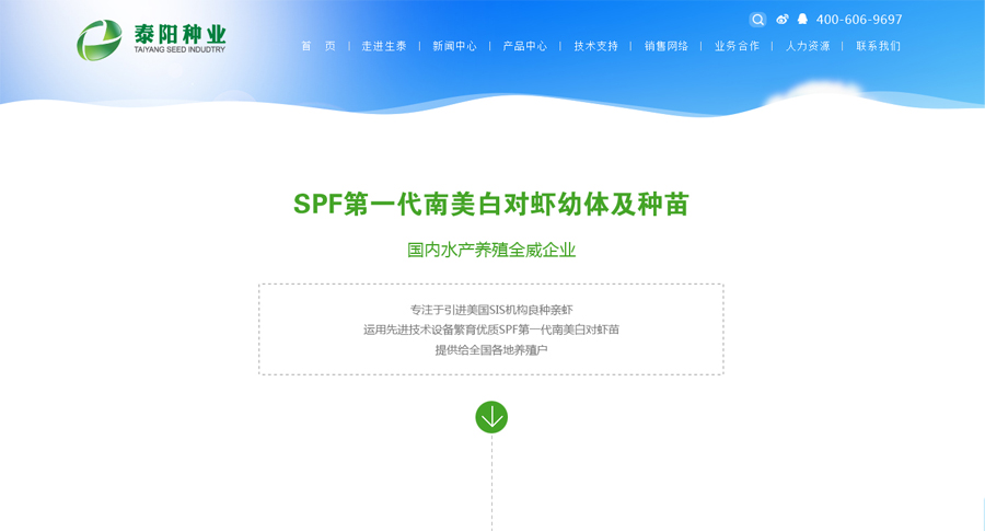 网站建设