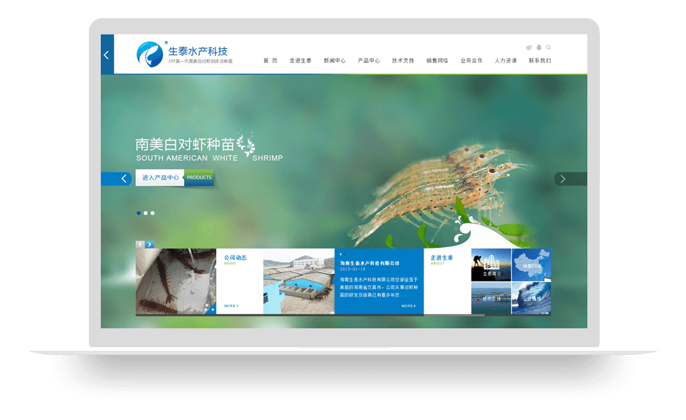 海南生泰水产产品展示网站建设